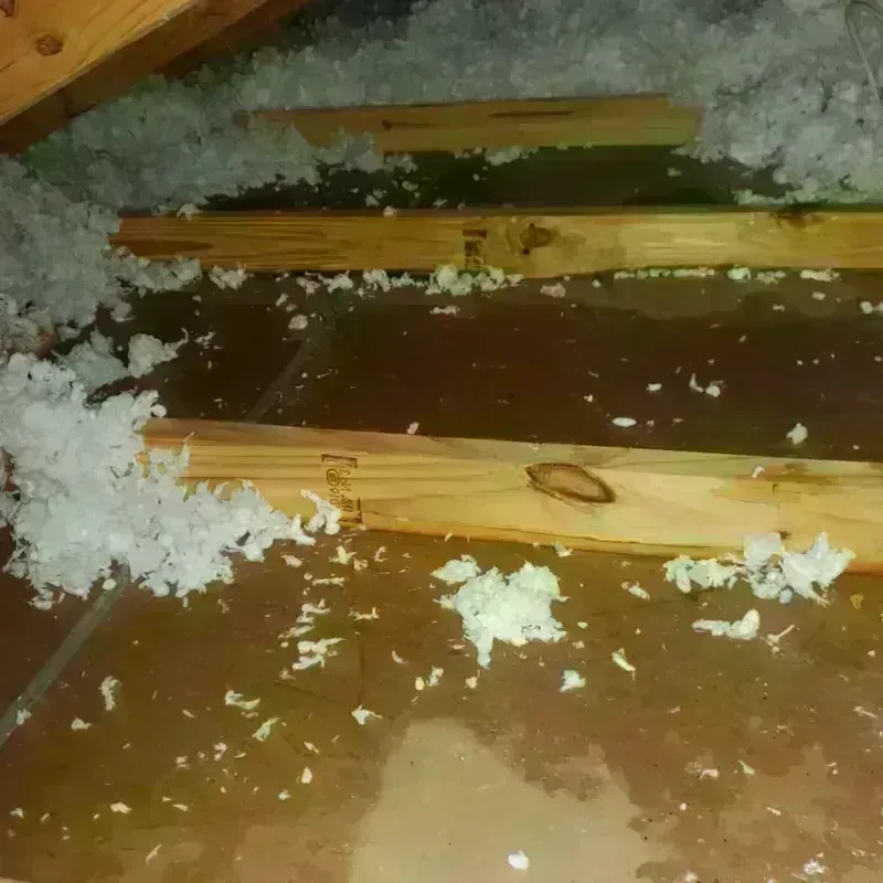 Attic Water Damage in Mason City, IA