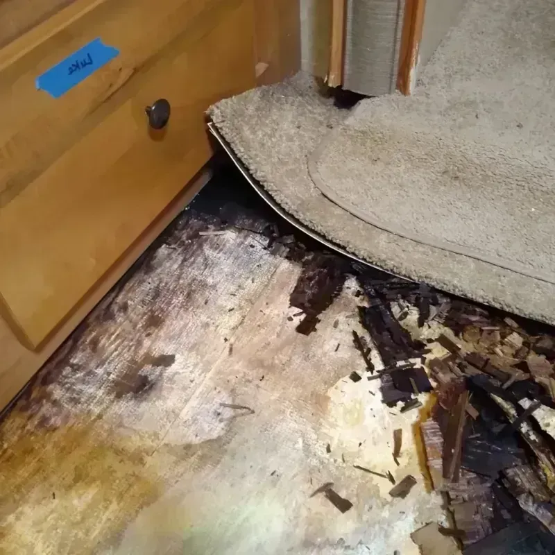 Wood Floor Water Damage in Mason City, IA